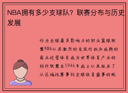NBA拥有多少支球队？联赛分布与历史发展